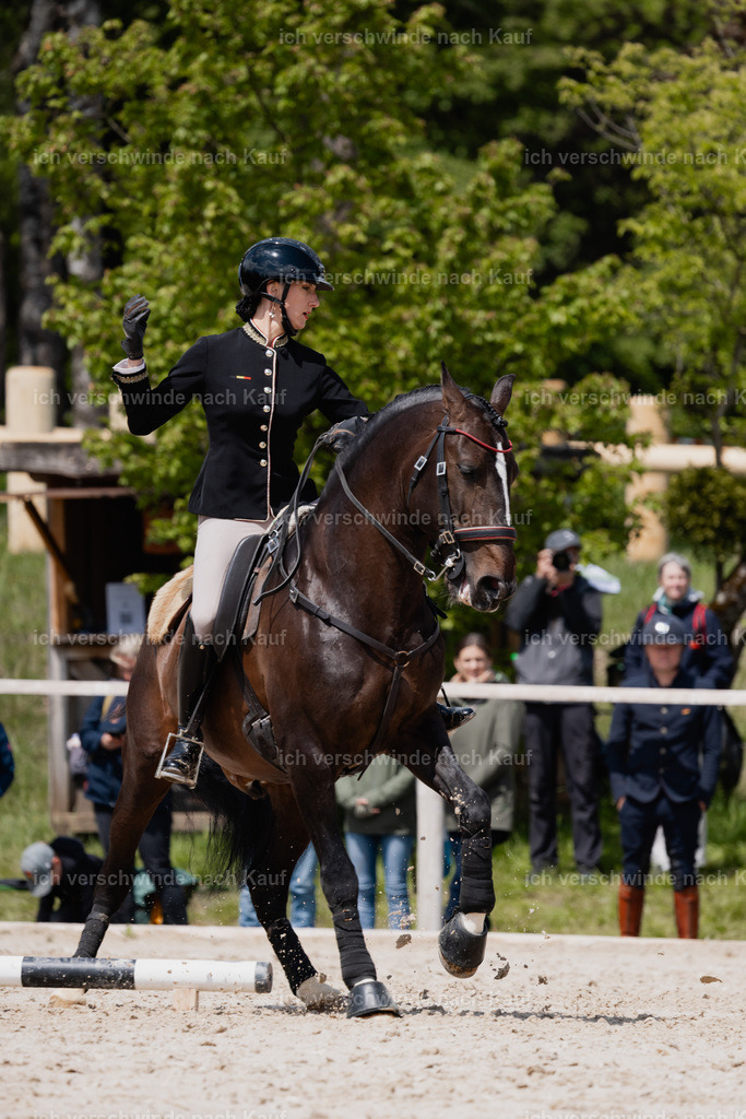 PI26_SP_StoibphotographyC2_C3481.CR3 | working equitationturnier fotograf videograf stoibphotography marixx film working equitation deutschland reitsport turnierfotografie eventfotografie equestrian events