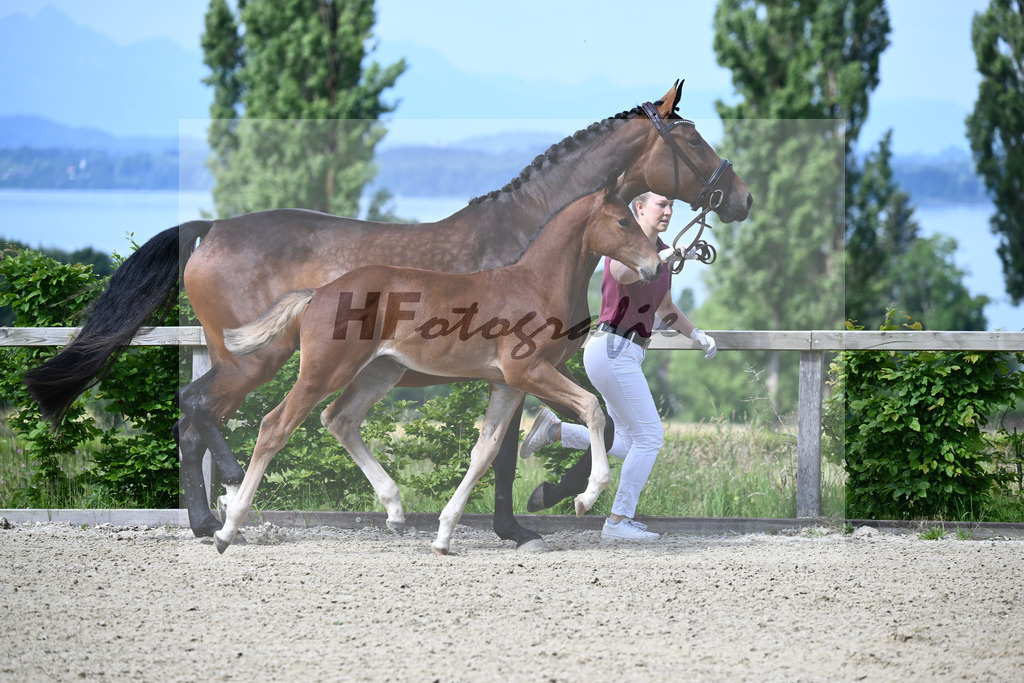 Dinken x Balou du Rouet_HF_Gossner_19240020 | hf-fotografie - Realisiert mit Pictrs.com