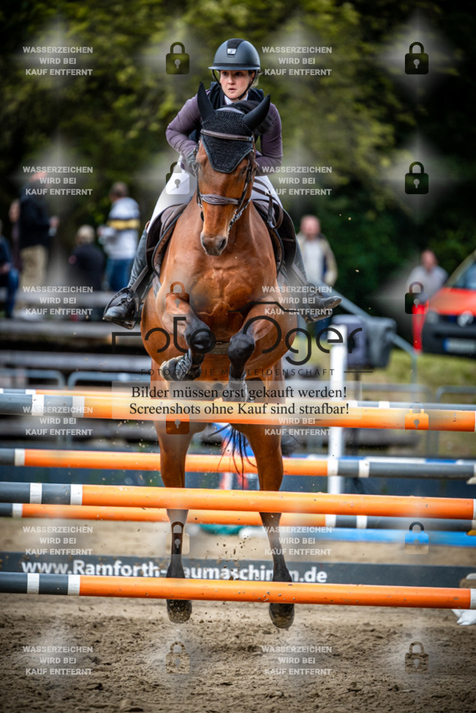 Sielturnier 2026-14-0076 | Entdecke hochwertige Reitturnierfotos von Foto Oger. Professionell, emotional und authentisch – jetzt Lieblingsmomente im Shop bestellen.Deutschlandweite Turnierfotografie. - Realisiert mit Pictrs.com