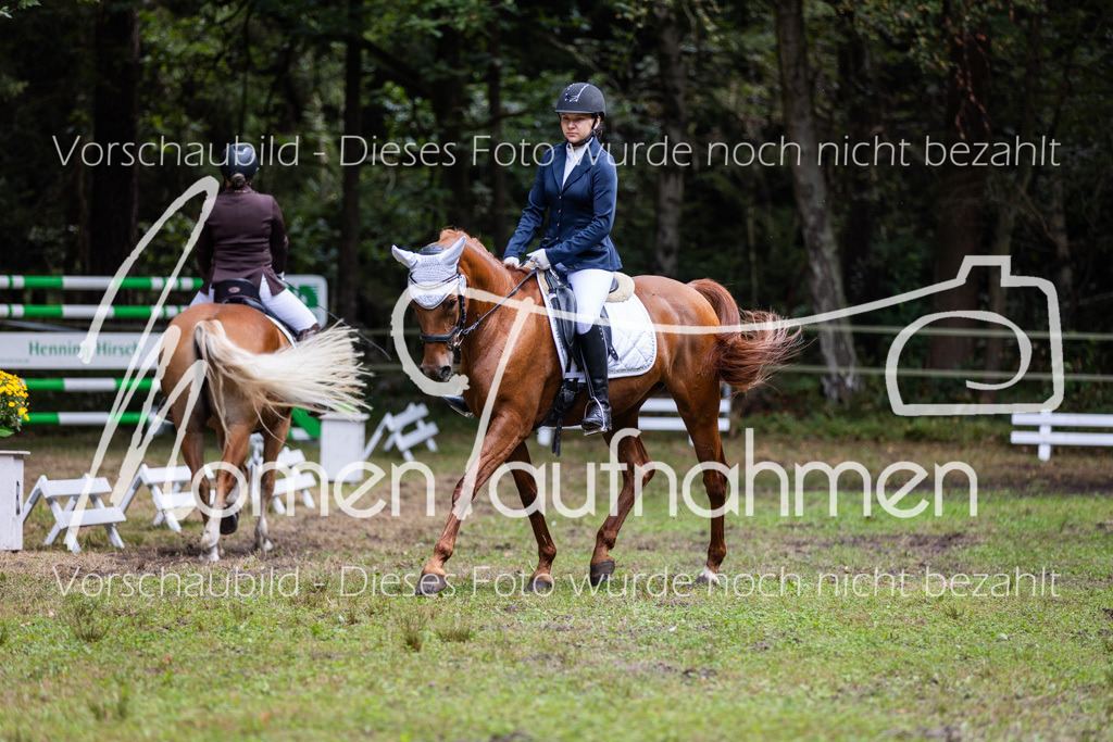 HB-Dressur-WB-066 | MomenTaufnahmen Pferdesportfotos