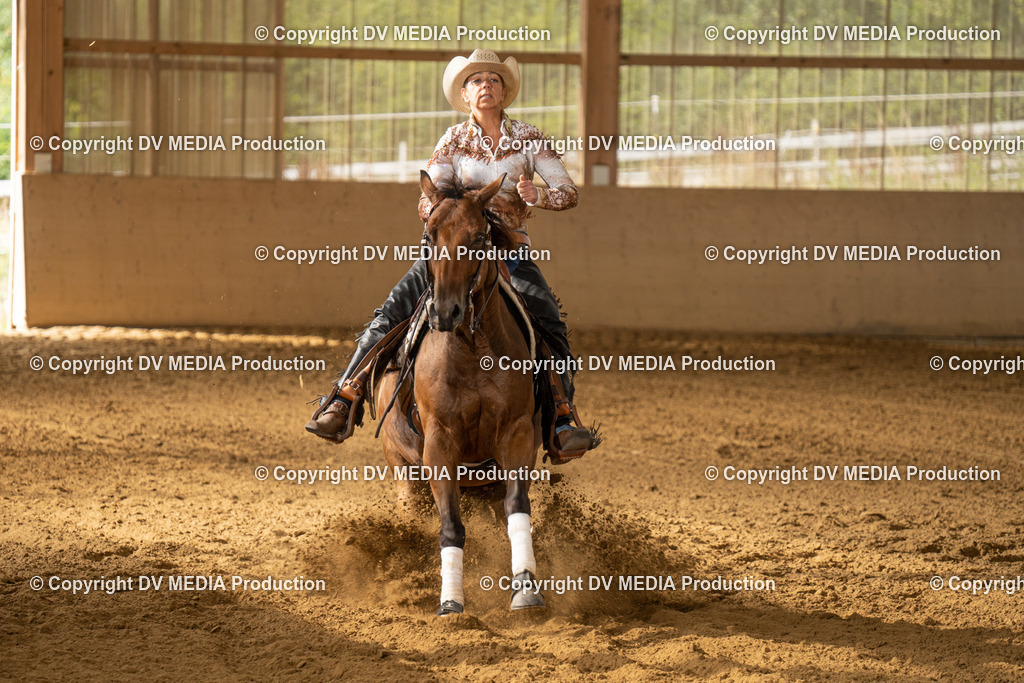 LAU01525 | dv-media-shop - Realisiert mit Pictrs.com