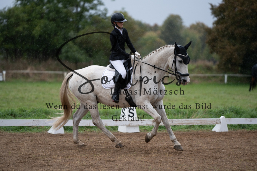 A7V05683 | Pferdefotograf