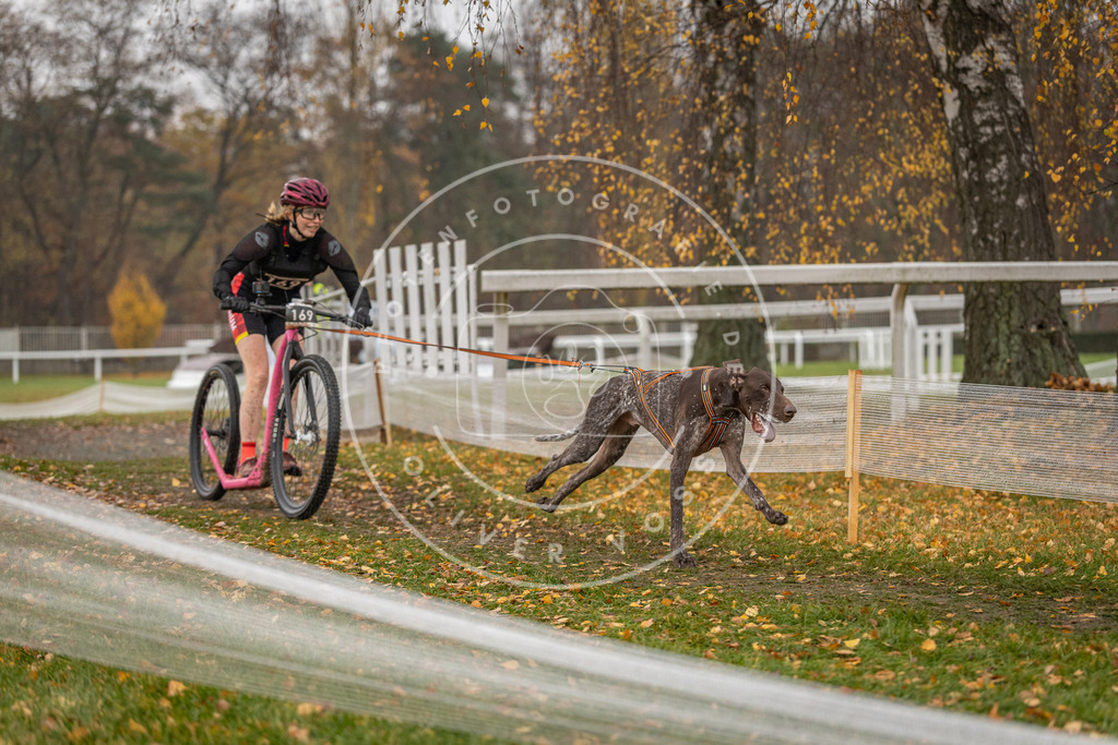 CaniXpix_DV3A8332 | Hundefotografie, Tierfotograf, Pfotenfotografie, Fotoshooting Hund, Hunde Portrait, Hundesport, Hundeportraits, Heideshooting, Hunde, Sportfotograf, Hundefotograf, Turnierhundsport, THS,  - Realisiert mit Pictrs.com