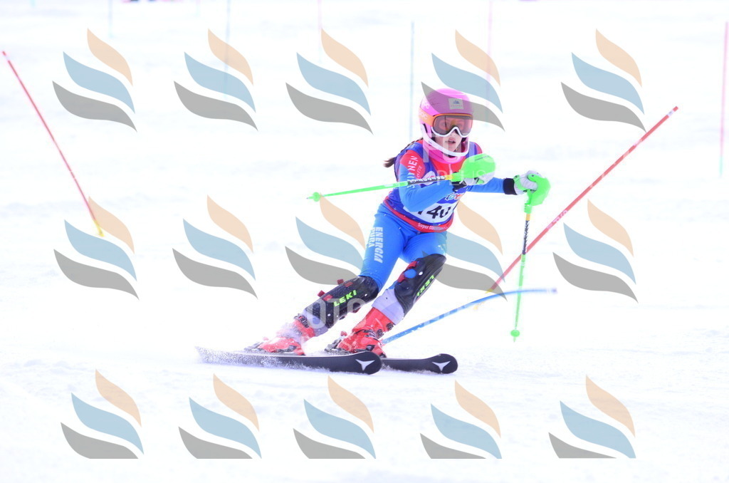 B1842 | holidayphoto