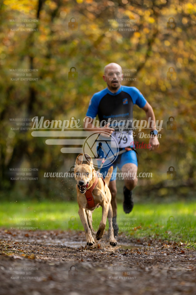 MompixPhotography_Bischwiller23_Canicross-5 | PayLife