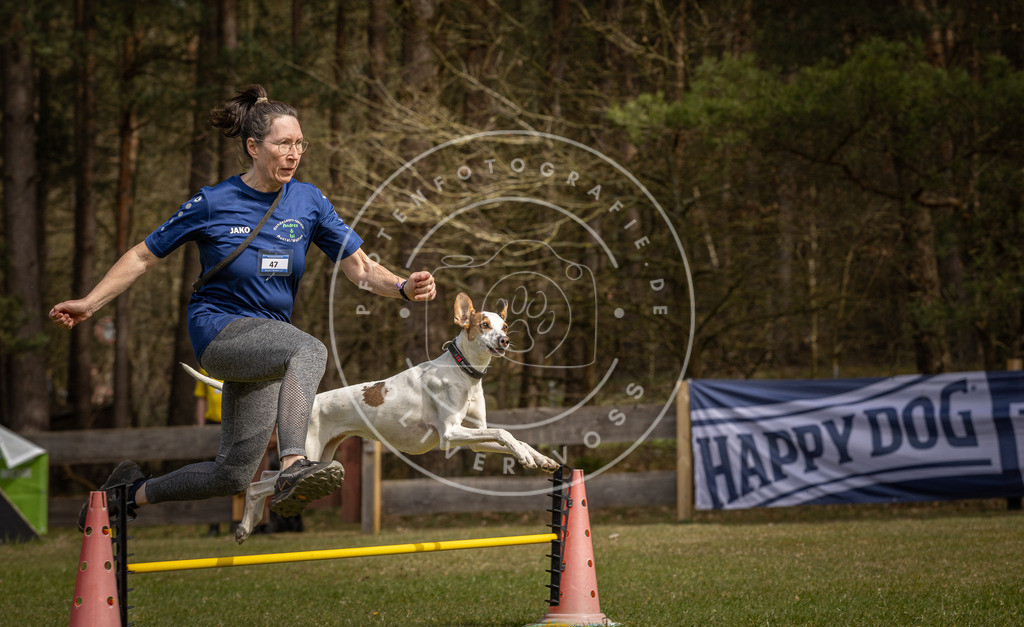 Pfotenfotografie_DV3A6980 | Hundefotografie, Tierfotograf, Pfotenfotografie, Fotoshooting Hund, Hunde Portrait, Hundesport, Hundeportraits, Heideshooting, Hunde, Sportfotograf, Hundefotograf, Turnierhundsport, THS,  - Realisiert mit Pictrs.com
