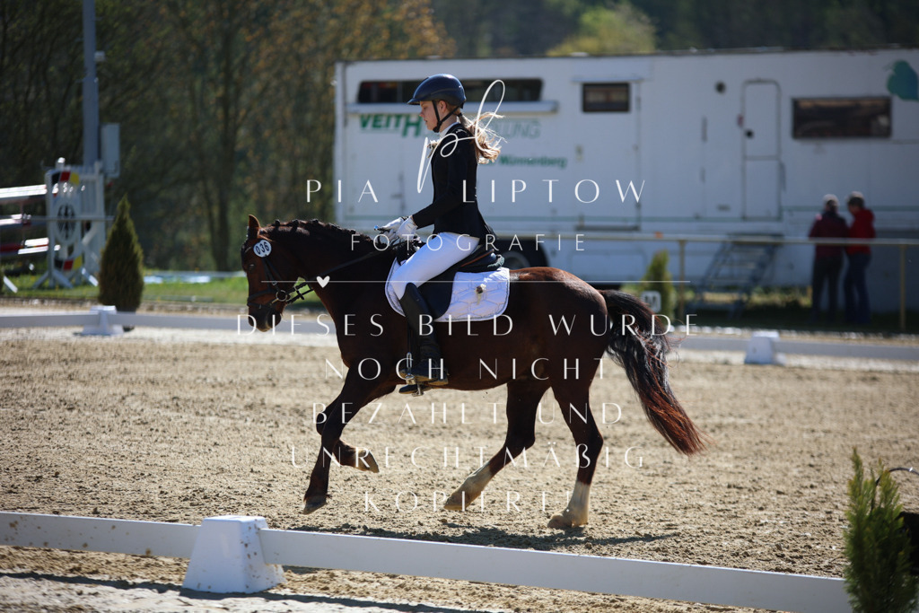 IMGT0210 | pl-fotografie