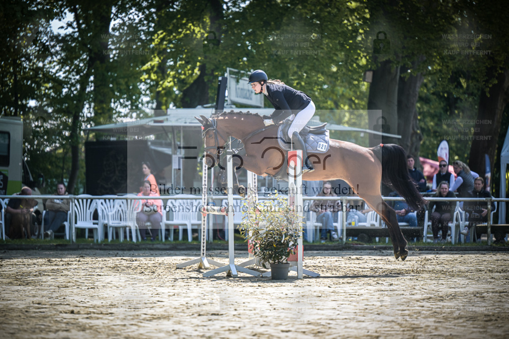 DOS_9145 | Entdecke hochwertige Reitturnierfotos von Foto Oger. Professionell, emotional und authentisch – jetzt Lieblingsmomente im Shop bestellen. - Realisiert mit Pictrs.com