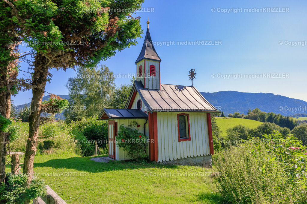 _J3A8124 | medienkrizzler - Realisiert mit Pictrs.com