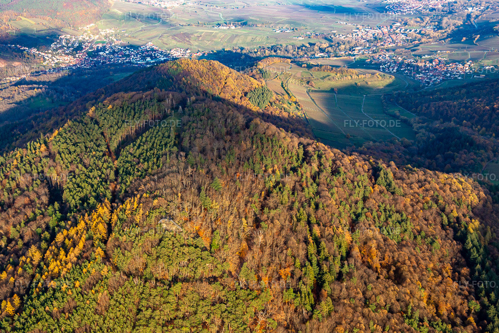Luftbild: Hohenberg von Westen in Annweiler am Trifels im Bundesland Rheinland-Pfalz in Deutschland. Foto: IMG_139274.jpg vom 22.11.2023 durch Werner Riehm/FLY-FOTO.de