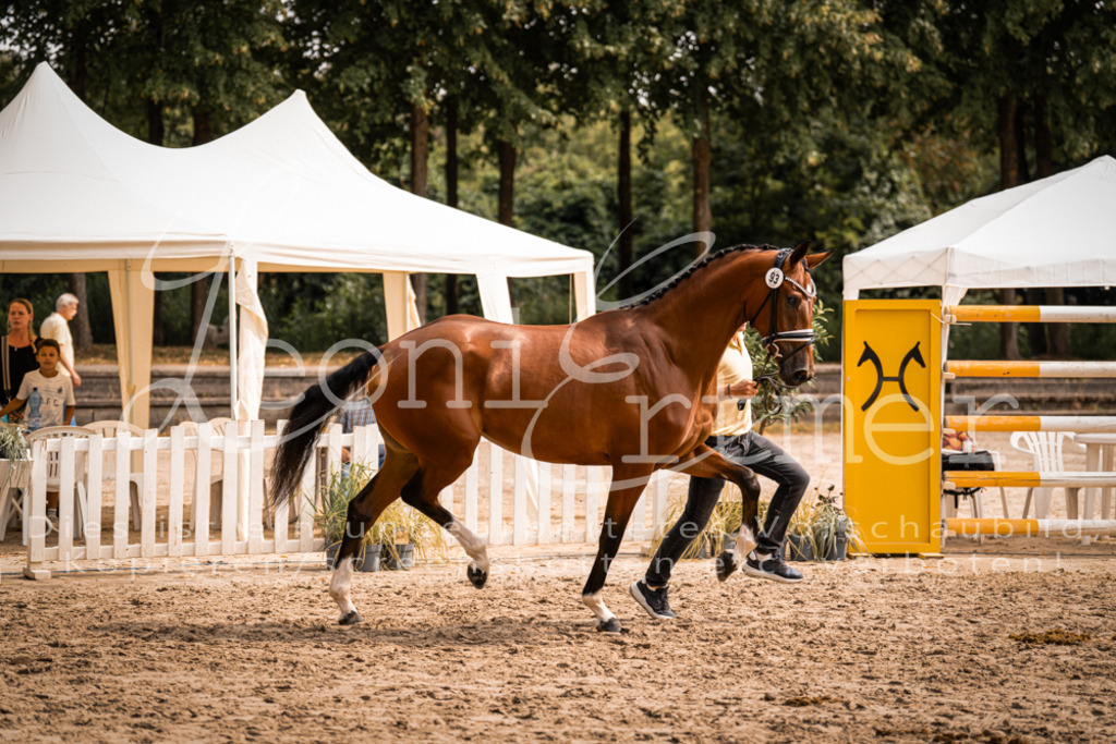 6.Fr00110 | Leoni Ertmer Photography - Realisiert mit Pictrs.com