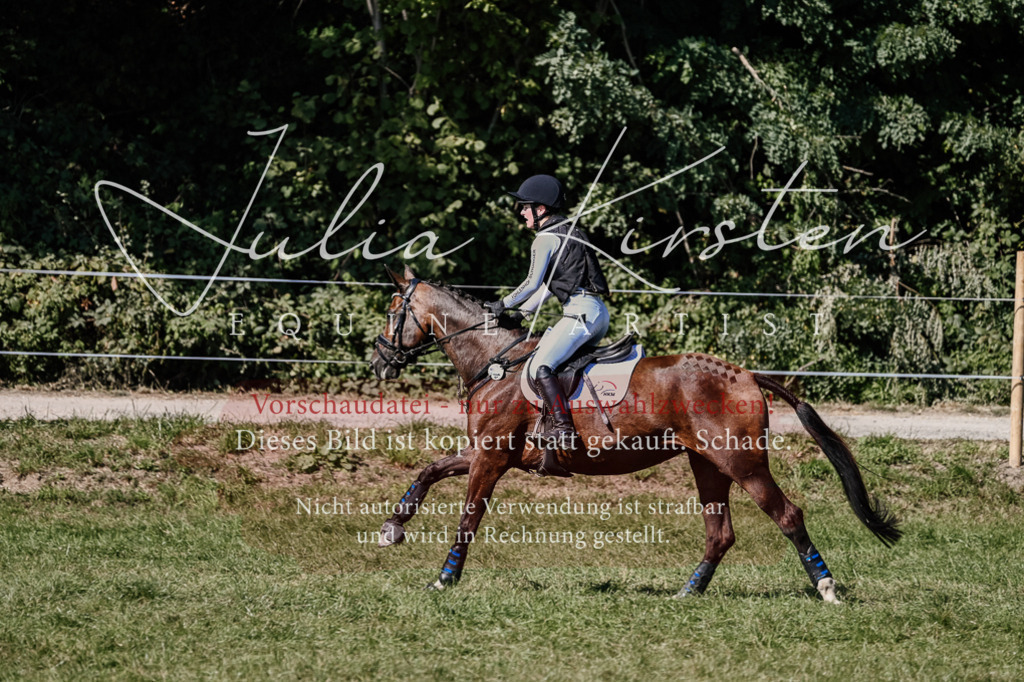 DSC_2756 | Pferde- und Turnierfotografie in Westsachsen. Pferdeportraits, Auftragszeichnungen und intuitive Kunst.