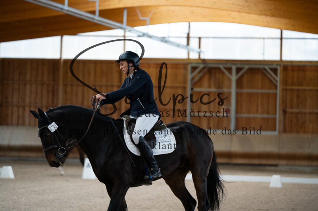 A7V02114 | Pferdefotograf