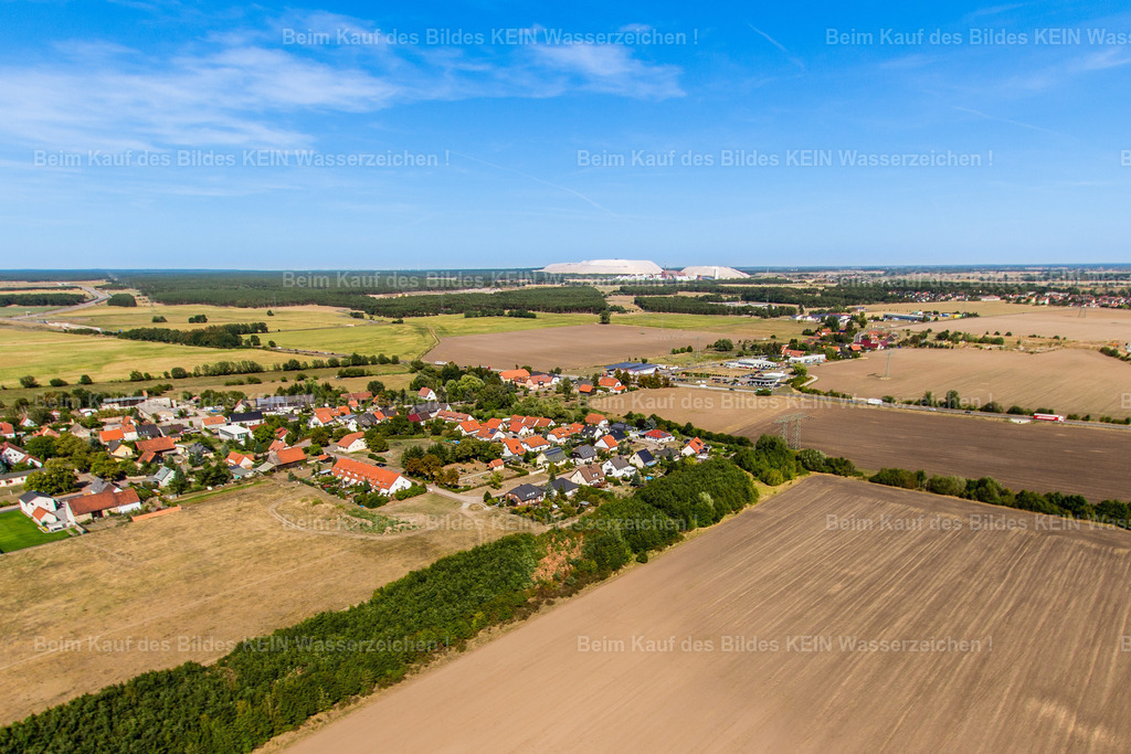 Wolmirstedt-4782 | Mose - Realisiert mit Pictrs.com