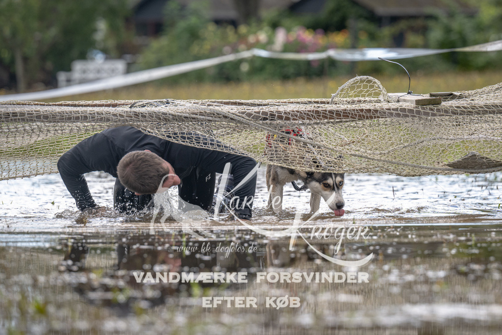 1322_ZZ90886 | kk-dogfotos