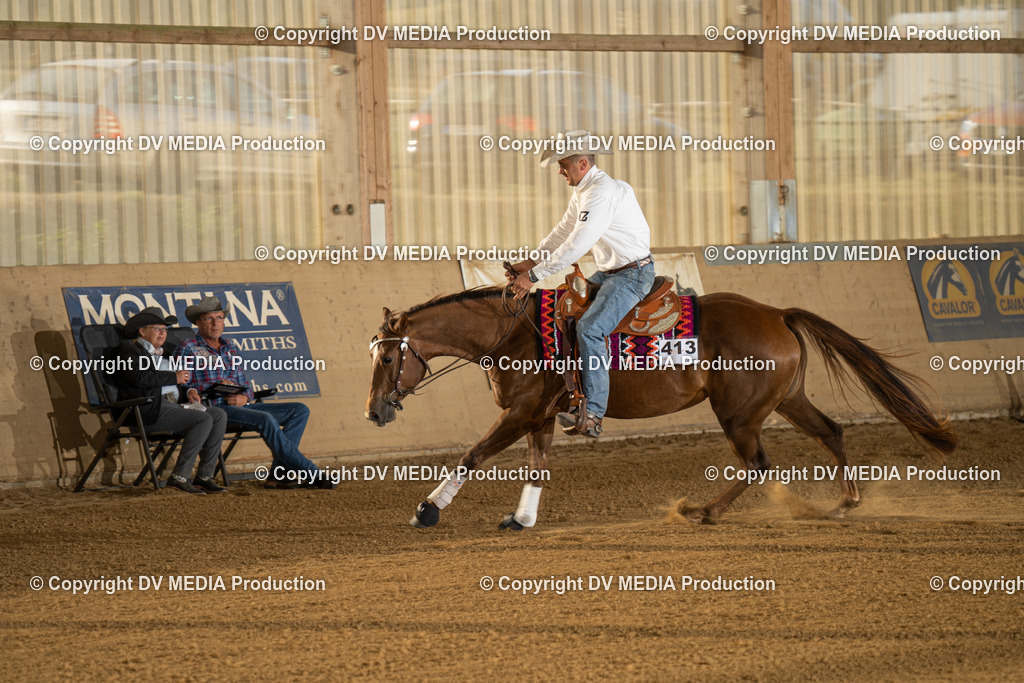 LAU01971 | dv-media-shop - Realisiert mit Pictrs.com