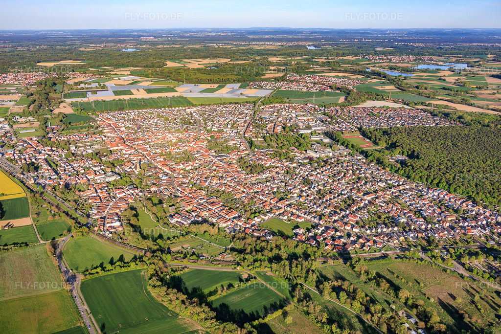 Luftbild: Ortsansicht von Westen in Rülzheim im Bundesland Rheinland-Pfalz in Deutschland. – Foto: IMG_155134.jpg vom 24.04.2026 durch Werner Riehm/FLY-FOTO.de – Auflösung des Originals: 5785 x 3857 px