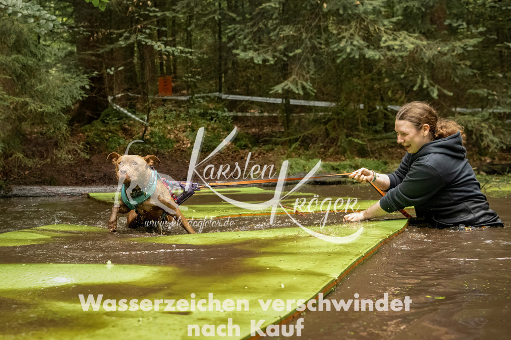 1220_ZZ94007-Bearbeitet | kk-dogfotos