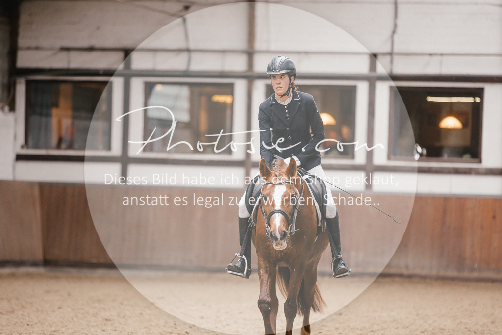 3I6A6707 | Stimmungsvolle Portraits und Reitsportfotografie im Ruhrgebiet und im Münsterland.

Pferdefotografie, Hundefotografie, Tierfotografie, Reportagen, Portraits von Tier und Mensch, Turnierfotografie in Bochum, Recklinghausen, Marl, Haltern am See, Dülmen.. - Realisiert mit Pictrs.com