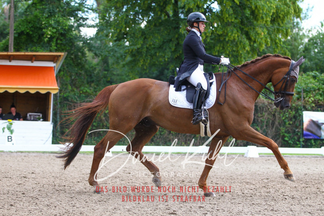 DKP41478 | Turniersportfotografie; Pferdefotografie; Dressurfotografie