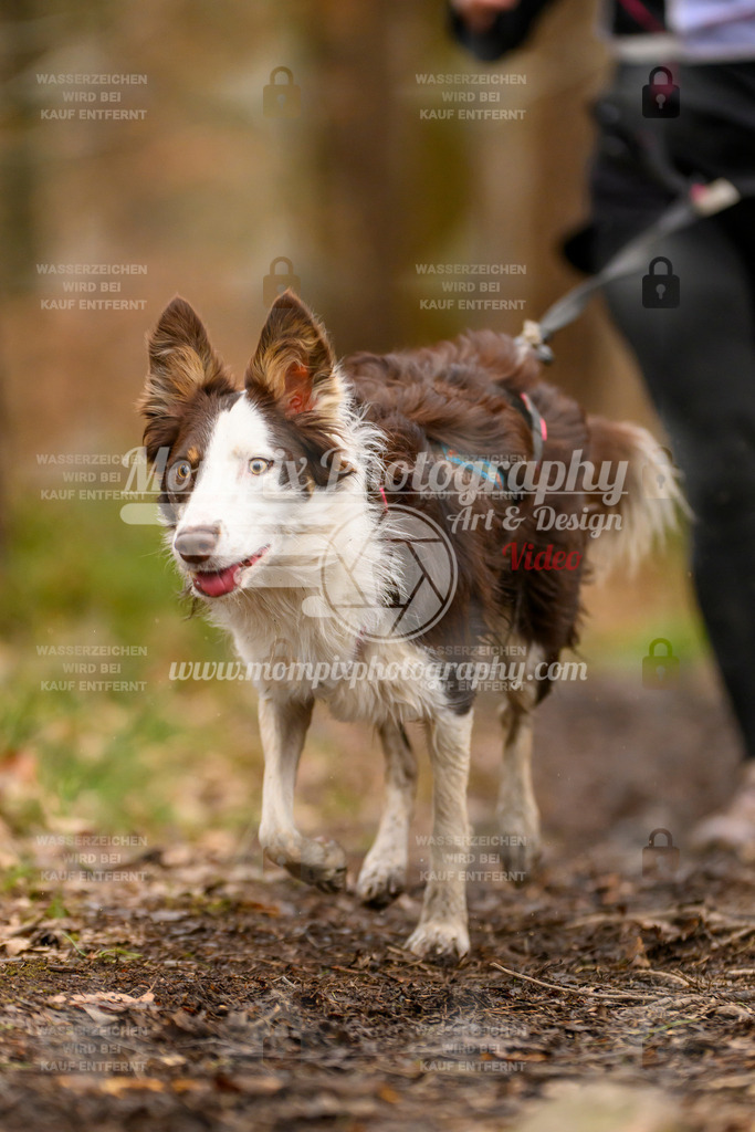 MompixPhotography_CDSM24_SA_Fun-18 | PayLife