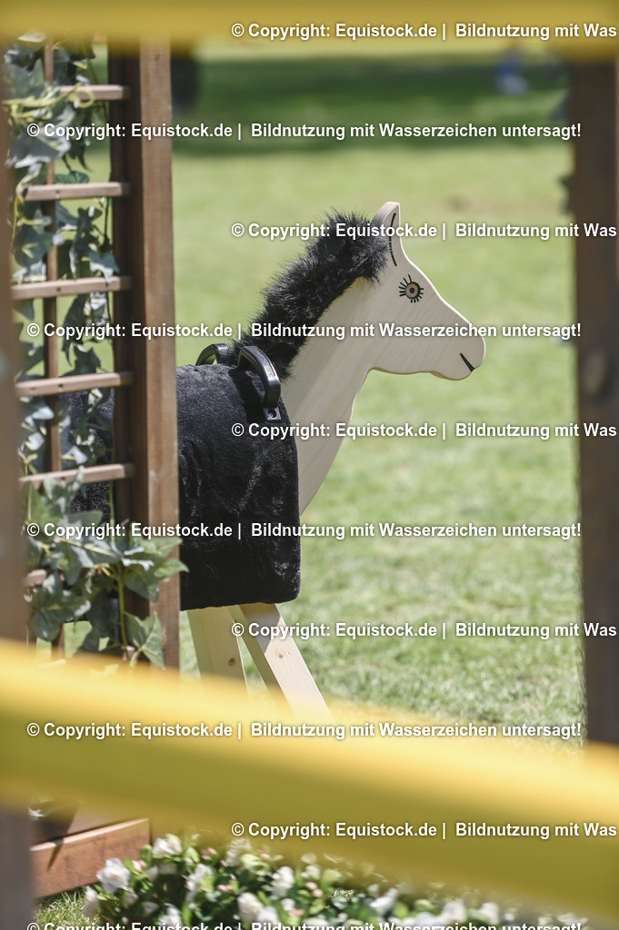 D78_3576 | equistock