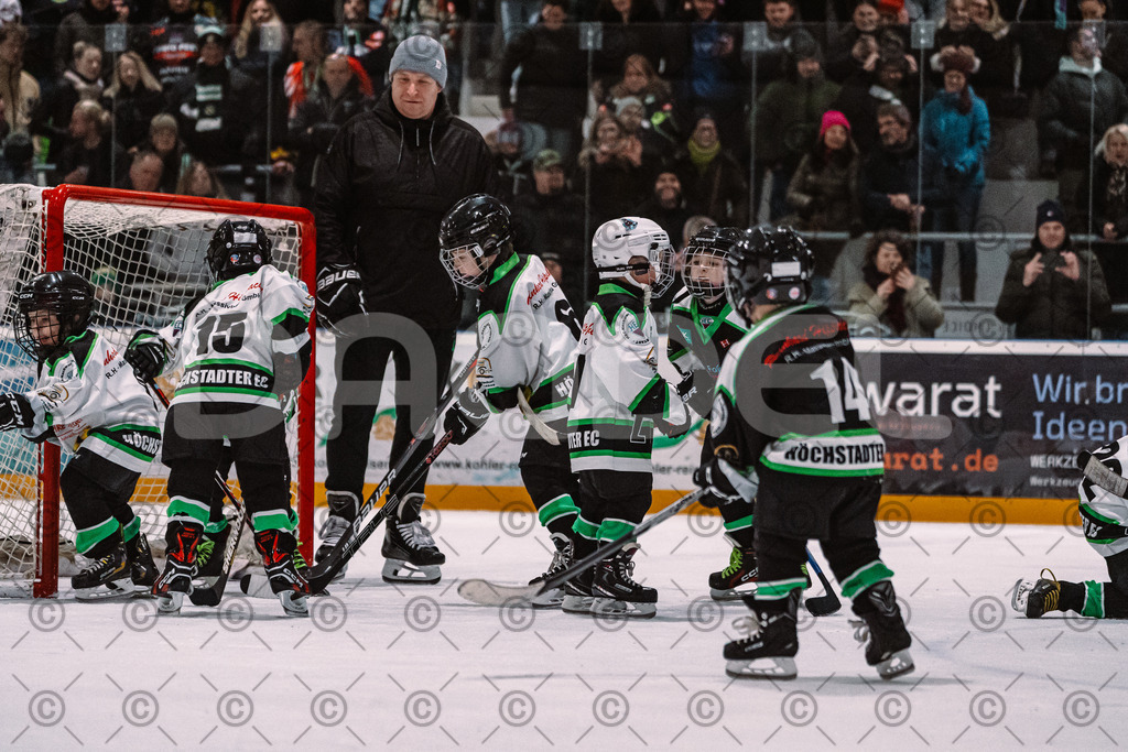 Alligators_vs_Erding_01_02_2026-26 | Höchstadt Alligators Fotogalerie: Eishockey-Action aus Franken. Professionelle Spielfotos, Portraits & Stadionbilder zum Download. Jetzt entdecken! - Realisiert mit Pictrs.com