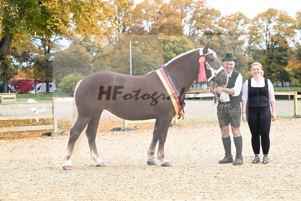 Kat-Nr. 56 Monamour_Buechl_53223017 | hf-fotografie - Realisiert mit Pictrs.com