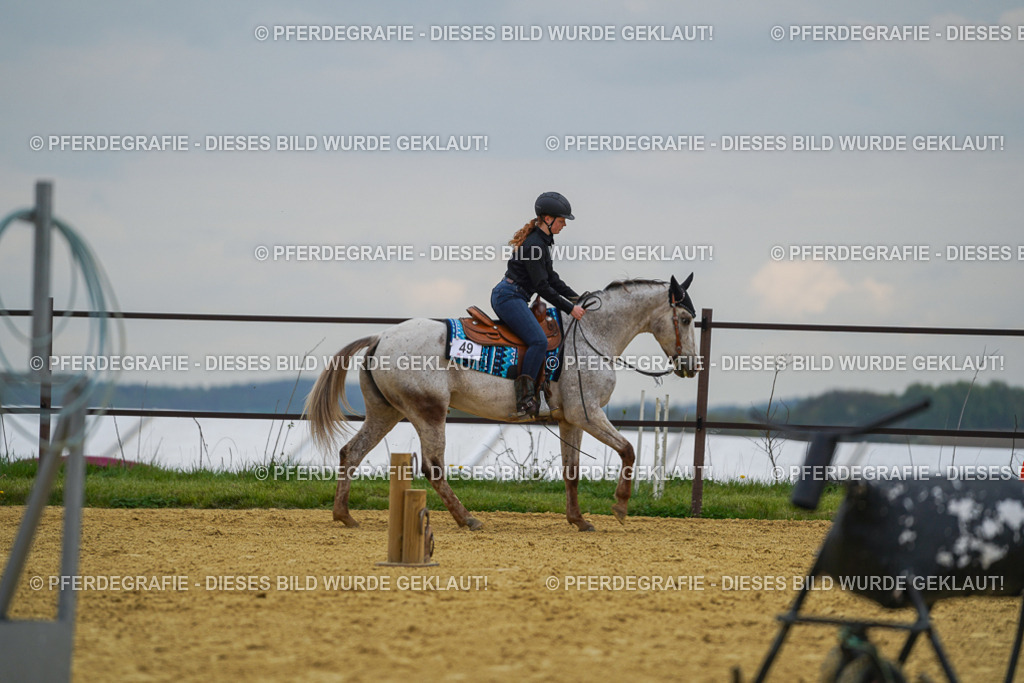 DSC07565 | Pferdegrafie