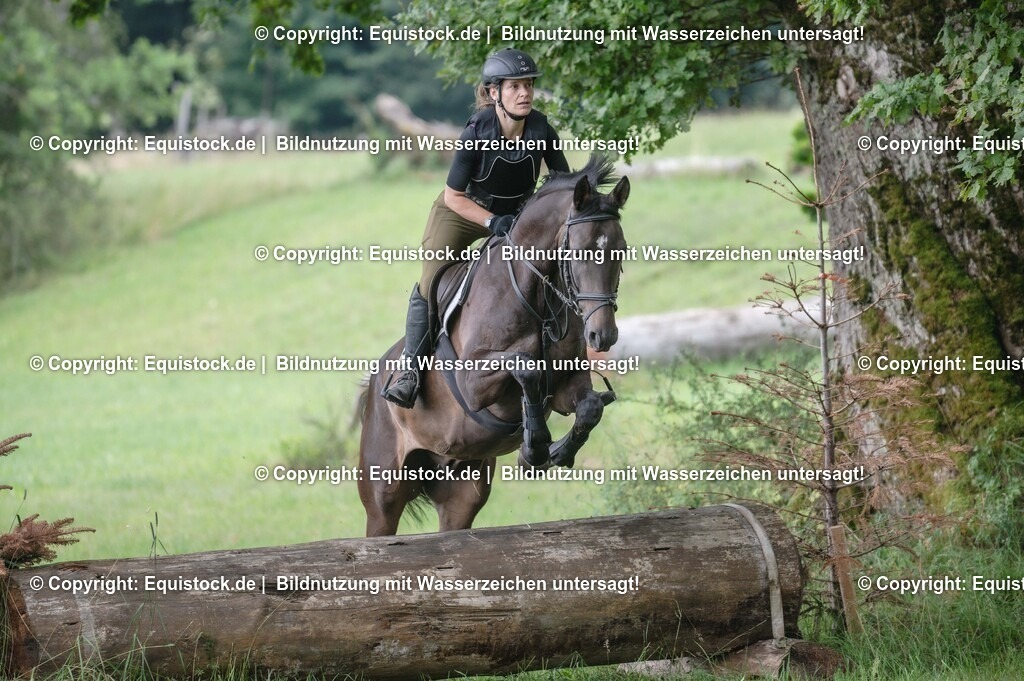 20250726_Vielseitigkeitslehrgang-Marbach_0426 | Foto: Thomas Hartig