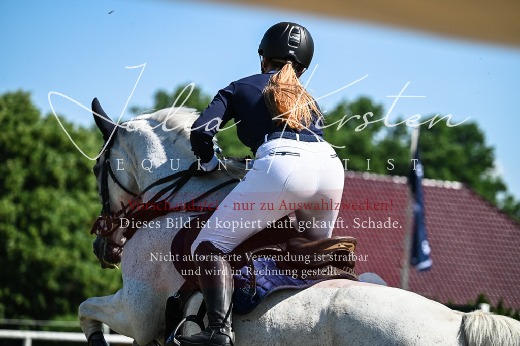 DSC_1409 | Pferde- und Turnierfotografie in Westsachsen. Pferdeportraits, Auftragszeichnungen und intuitive Kunst.