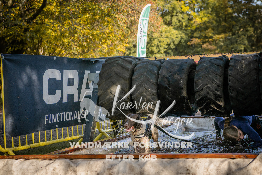 1056_ZZ93025 | kk-dogfotos