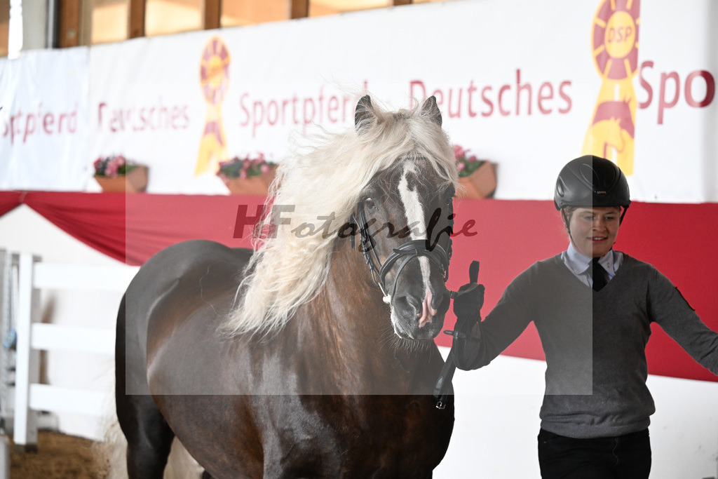 Impressionen_ Ehrungen_9240670 | hf-fotografie - Realizzato con Pictrs.com