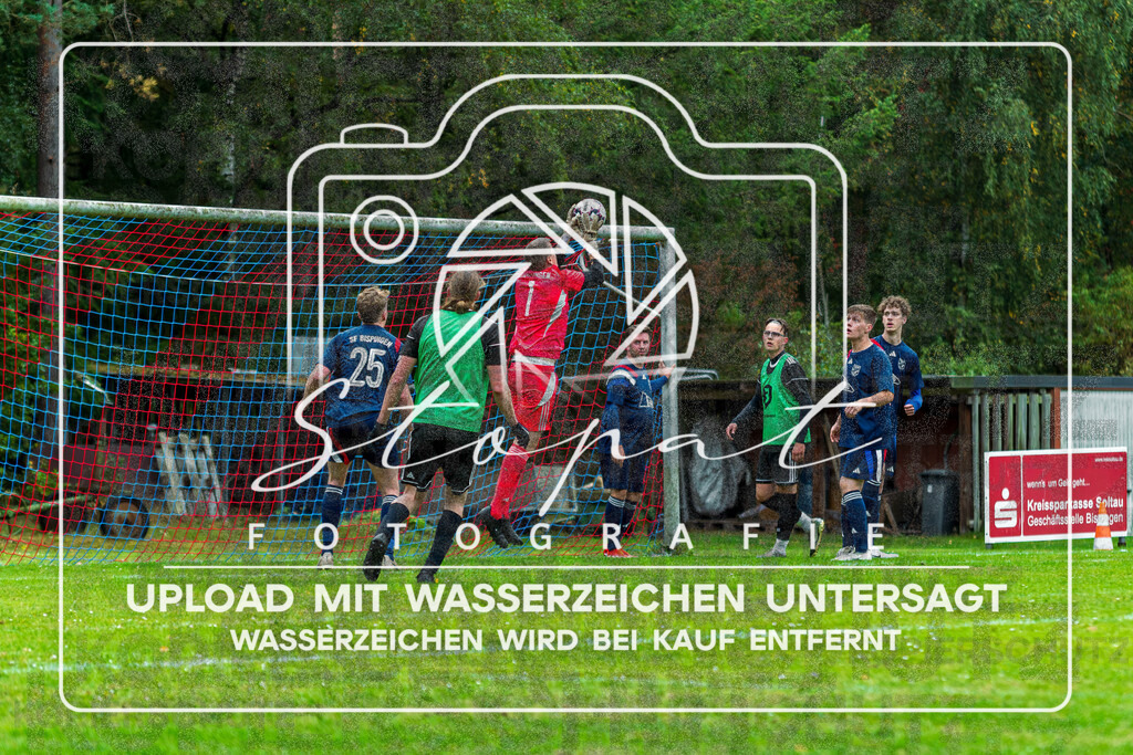 SFBFGFS-1006 | Arne Hoffmeister (Sportfreunde Bispingen 2 #01) beim Herren 3. Kreisklasse HK Spiel zwischen SF Bispingen 2 und FG Fulde-Stellichte 2 im Sportplatz Huetzel, Bispingen (Simon Paul Stopat) - Realisiert mit Pictrs.com
