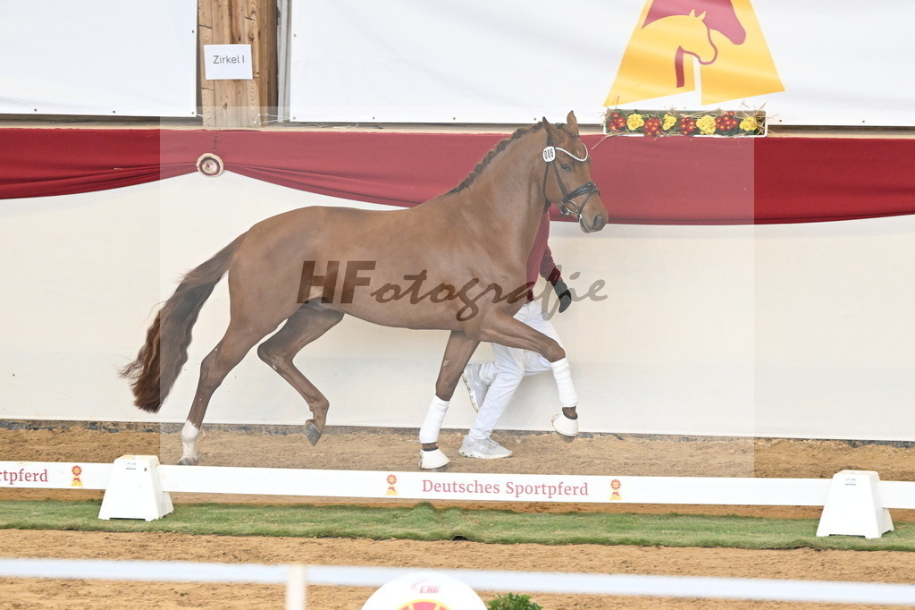 Kat.-Nr. 86 v. Vitalis_Pfefferle_3261206 | hf-fotografie - Realizzato con Pictrs.com