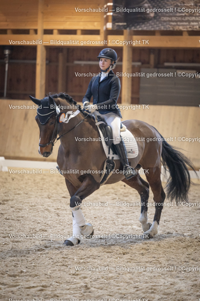 _D5A4839 | Emotionale Pferde- & People-Fotografie rund um Heidelberg, Leimen & Umgebung. Natürliche Fotos von Pferd, Mensch & Familie. Jetzt Termin sichern!