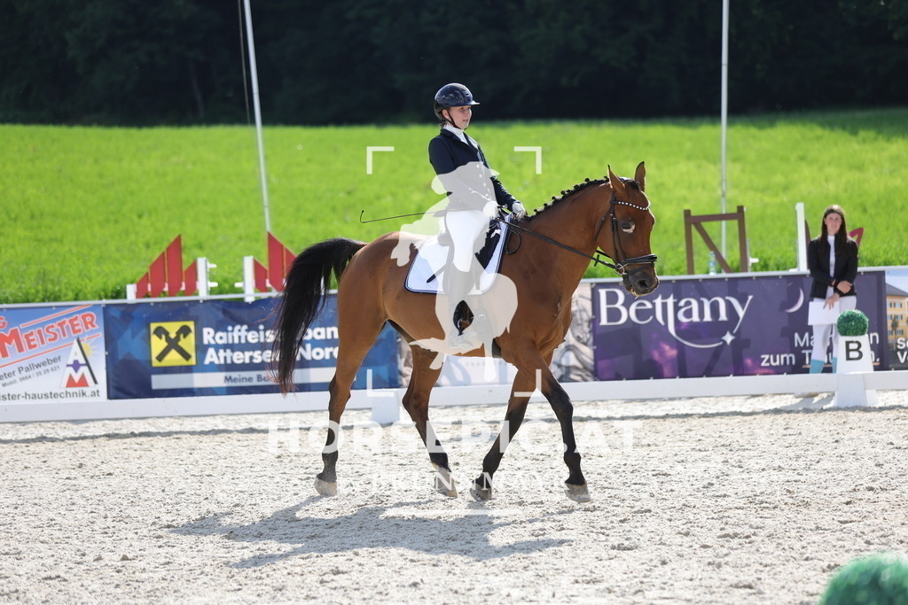 0P6A6933 | Willkommen bei Brunnmayr - Design & Fotografie – Ihrem Spezialisten für Reitturniere und Pferdeveranstaltungen in Oberösterreich, Salzburg und Bayern! Seit über 17 Jahren sind wir leidenschaftlich dabei.