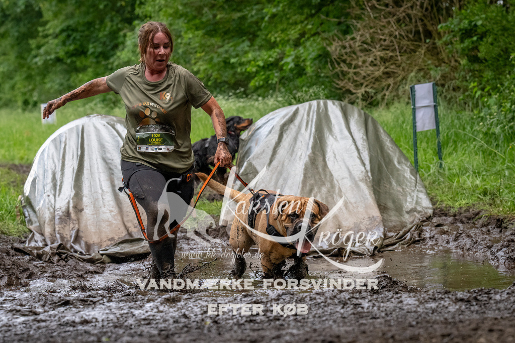 1538_ZZ94675-Bearbeitet | kk-dogfotos