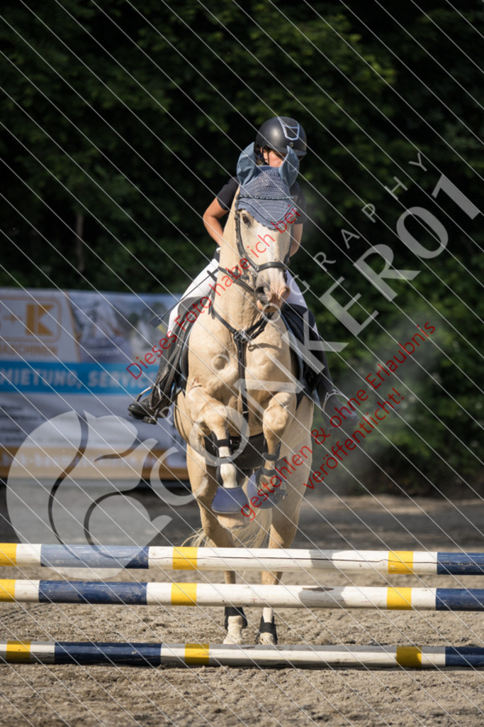 IMG_5925 | Sport-, Event- und Tierfotos in Profiqualität. Einfach auswählen, bestellen und herunterladen. Dein Moment – perfekt festgehalten.