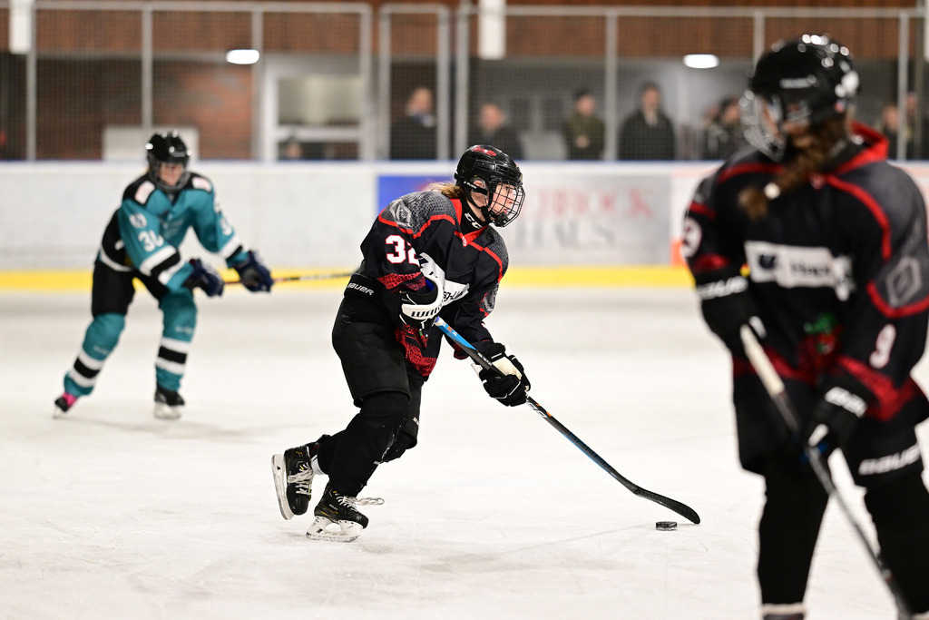 Eishockey I Frauen I Saison 2023-2024 I Testspiel I TuS Harsefeld Tigers - Crocodiles Hamburg | Der Sportfotograf. - Realisiert mit Pictrs.com