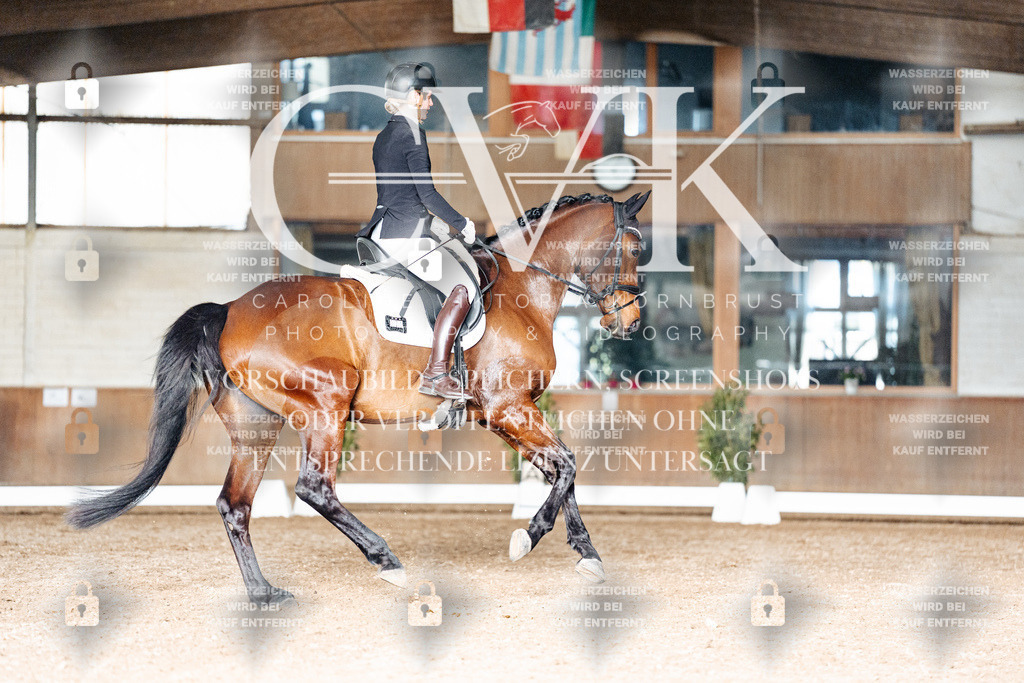 CK903107 | Turnierfotografie Pferdefotografie Trier Rheinland-Pfalz Pferdesport Reitsport Tierfotografie Sportfotografie Pferdevideo Pferdevideografie Equestrianvideography equestrianphotography  - Realisiert mit Pictrs.com