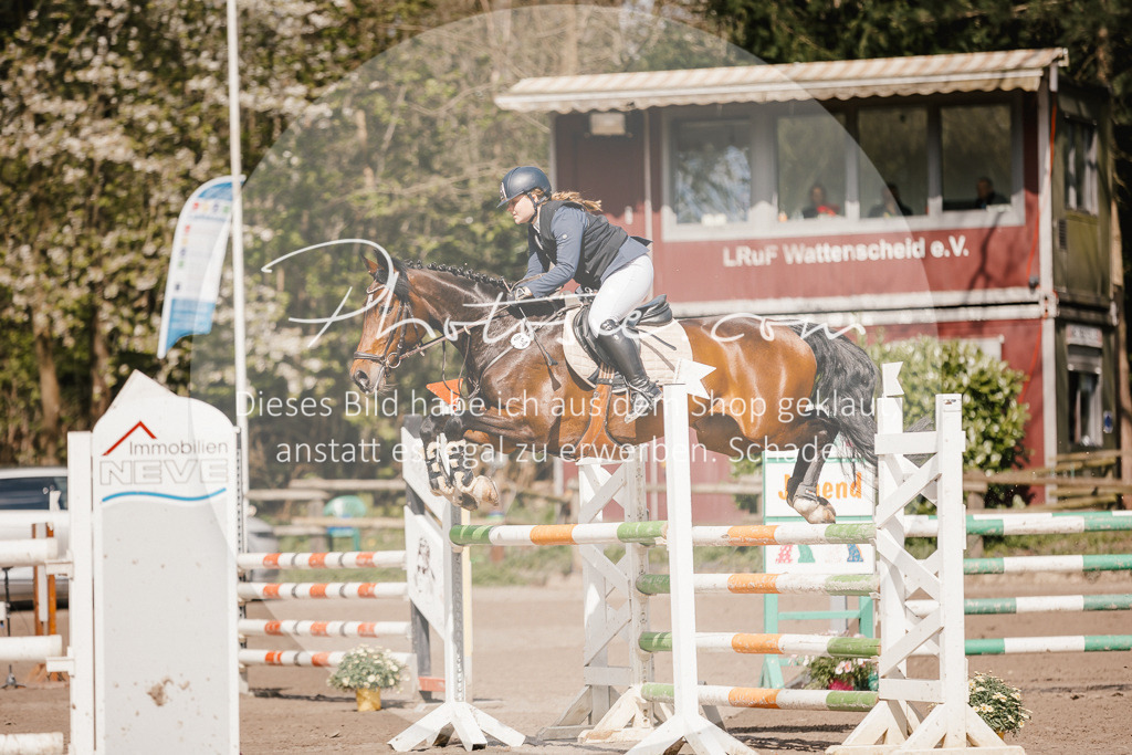 3I6A4108 | Stimmungsvolle Portraits und Reitsportfotografie im Ruhrgebiet und im Münsterland.

Pferdefotografie, Hundefotografie, Tierfotografie, Reportagen, Portraits von Tier und Mensch, Turnierfotografie in Bochum, Recklinghausen, Marl, Haltern am See, Dülmen.. - Realisiert mit Pictrs.com