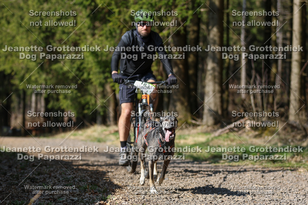 Dog Paparazzi - VCC26-171 | Dog Paparazzi Jeanette Grottendiek Fotografie & Videografie - Realisiert mit Pictrs.com