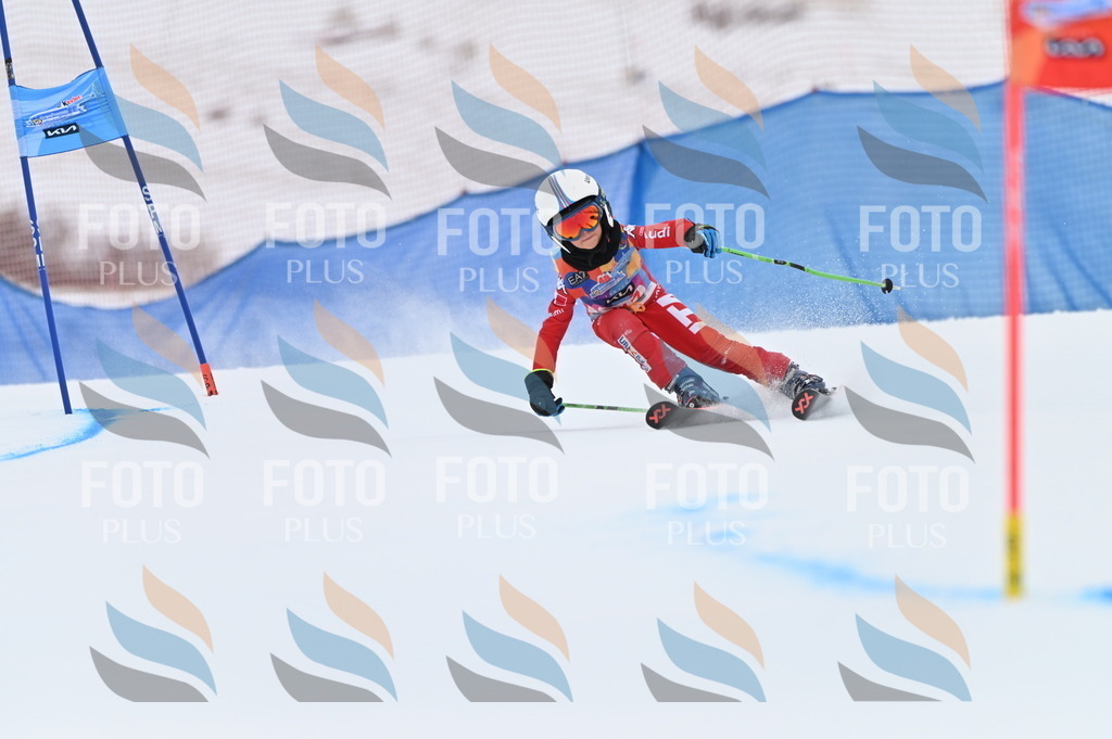 BGV_2851 | holidayphoto