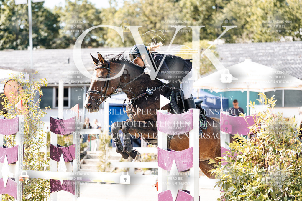 CK908396 | Turnierfotografie Pferdefotografie Trier Rheinland-Pfalz Pferdesport Reitsport Tierfotografie Sportfotografie Pferdevideo Pferdevideografie Equestrianvideography equestrianphotography  - Realisiert mit Pictrs.com
