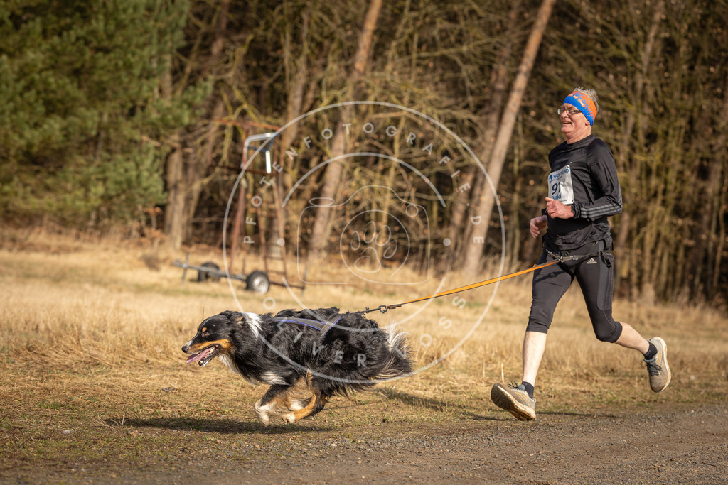 DV3A3846 | Hundefotografie, Tierfotograf, Pfotenfotografie, Fotoshooting Hund, Hunde Portrait, Hundesport, Hundeportraits, Heideshooting, Hunde, Sportfotograf, Hundefotograf, Turnierhundsport, THS,  - Realisiert mit Pictrs.com