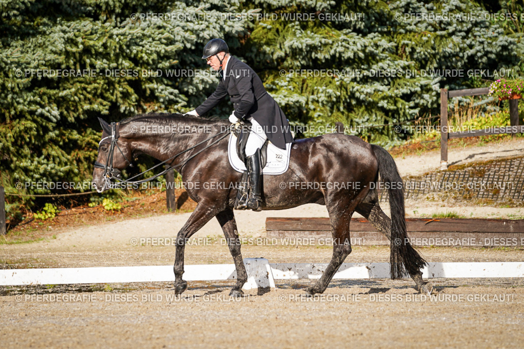 DSC00862 | Pferdegrafie