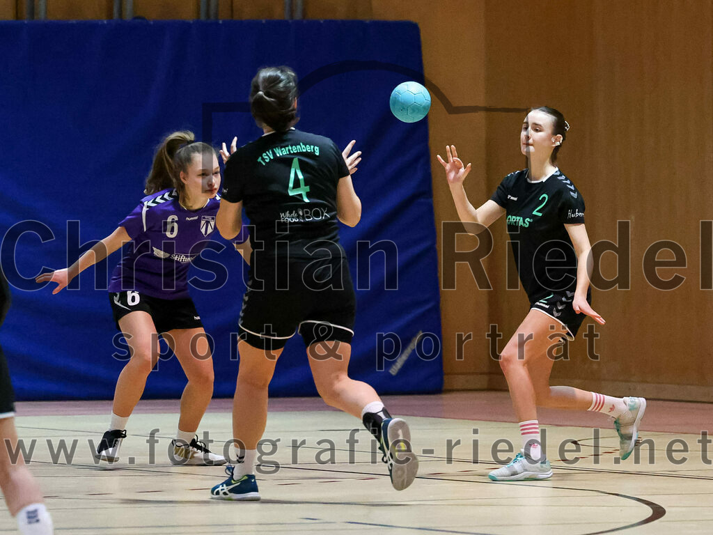 2023-02-25_007_SpVgg_Altenerding_III_gegen_TSV_Wartenberg_II | Erding, Deutschland, 25.02.2023:
Handball, Bezirksklasse Frauen Staffel Mitte 2022 / 2023, 13. Spieltag, SpVgg Altenerding III gegen TSV Wartenberg II, Endergebnis: 23:26

Foto: Christian Riedel / fotografie-riedel.net