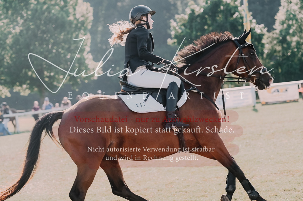 DSC_4540 | Pferde- und Turnierfotografie in Westsachsen. Pferdeportraits, Auftragszeichnungen und intuitive Kunst.