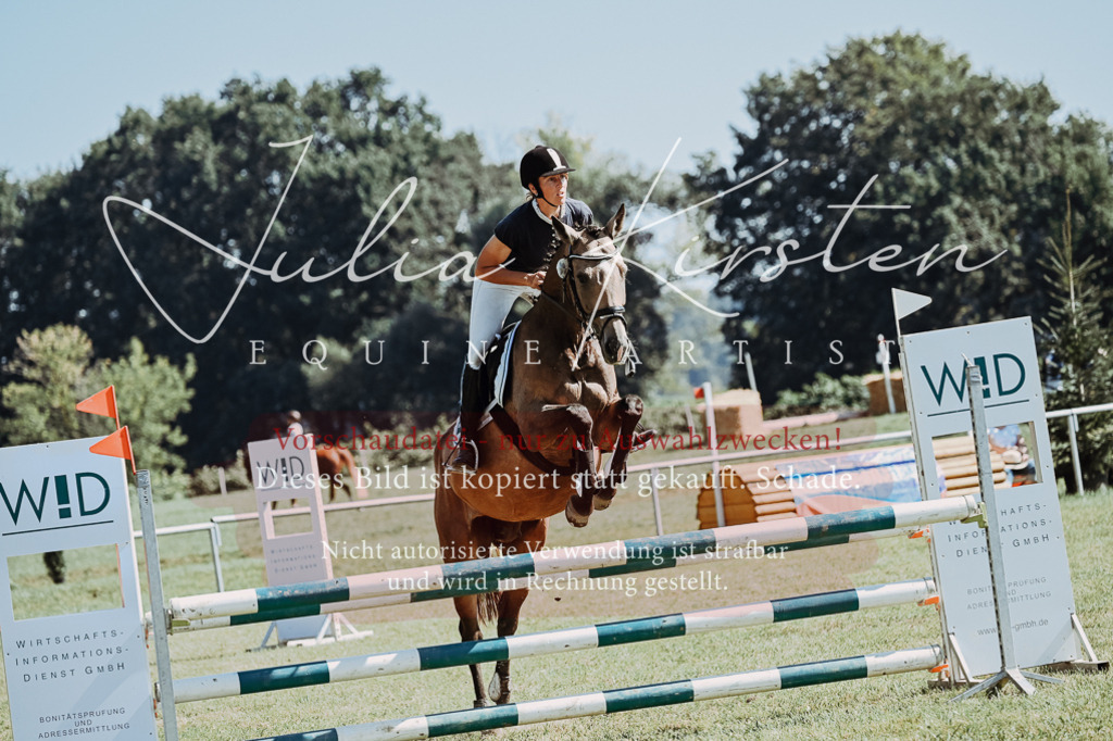 DSC_5930 | Pferde- und Turnierfotografie in Westsachsen. Pferdeportraits, Auftragszeichnungen und intuitive Kunst.
